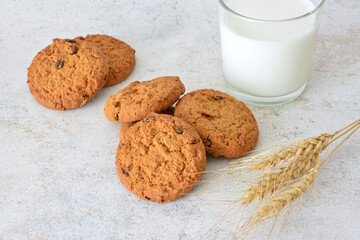 oatmeal biscuits and a glass of Milk on the gray background
