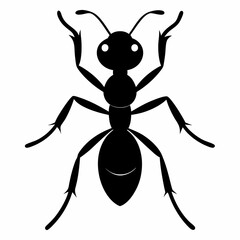 vector illustration of cartoon ant
