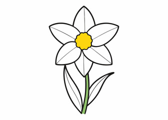 Obraz premium yellow flower on white background