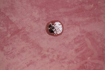 Bird poop on the floor