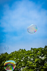 Floating Soap Bubbles in Blue Sky with Tree Line