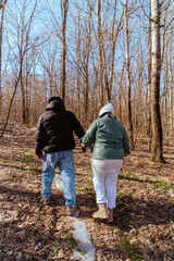 Fototapeta premium An elderly couple, a man and a woman, walk through a spring forest, enjoying the beauty of nature. Sunlight filters through fresh green leaves, creating a serene and romantic atmosphere