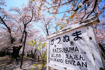 勝沼ぶどう郷駅の桜