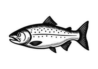 Fototapeta premium salmon sketch. vintage retro drawing in ink style, hand drawn. vector illustration on white background.