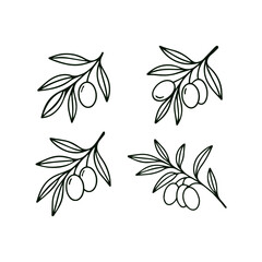 Set of olive branches. Hand drawn in doodle style. Vector isolated on white background.
