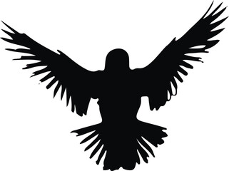 flying bird  silhottee