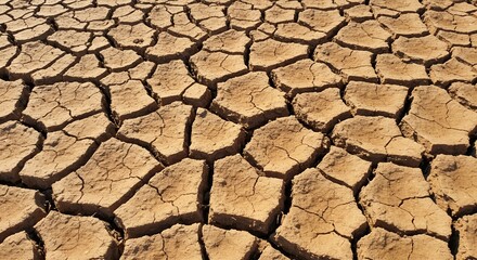 Cracked Earth Texture: Arid Land Surface Detail