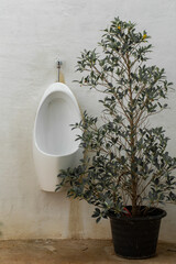 Men's Room Sign, Backgrounds, Bathroom, Bowl, Ceramics