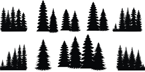 Set of Different Silhouette Evergreen Trees Isolated on a White Background