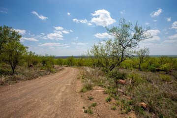 South Africa, Kruger National Park, Gravel road in the Park