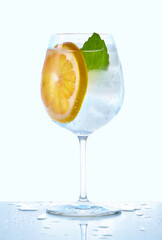 A refreshing glass of sparkling water with a grapefruit slice and a mint leaf, presented elegantly.