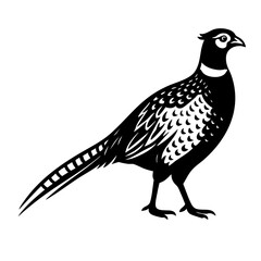bird on a white background Vector Black and White Clipart Cut File Svg Silhouette Isolated