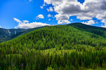 2023-12-31 A BEAUTIFUL TREE COVERED MOUNTAIN WITH A NICE SKY JUST OUTSIDE OF COEUR D'ALENE IDAHO