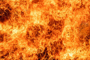 Intense blazing fire flames in vivid detail. Perfect as a background or texture for heat, danger, destruction, or energy-themed concepts.