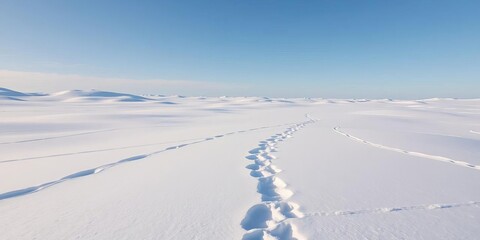 Vast, pristine white snow covering a desolate landscape, untouched by tracks,  arctic,   snow texture