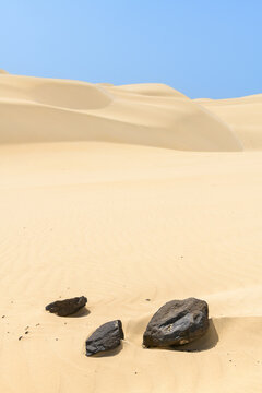 BOA VISTA DESERTO DE VIANA