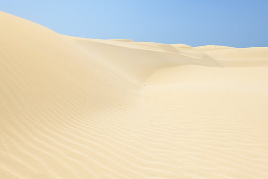 BOA VISTA DESERTO DE VIANA