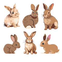 Rabbit colour vector set 2