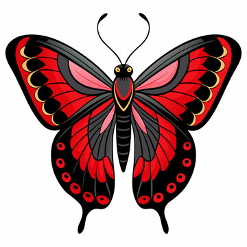 Parides tros butterfly