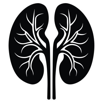 recommend clip art: Stylized black and white human kidneys medical illustration