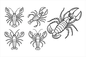 Set of hand drawn lobster line art vector illustration on white background.