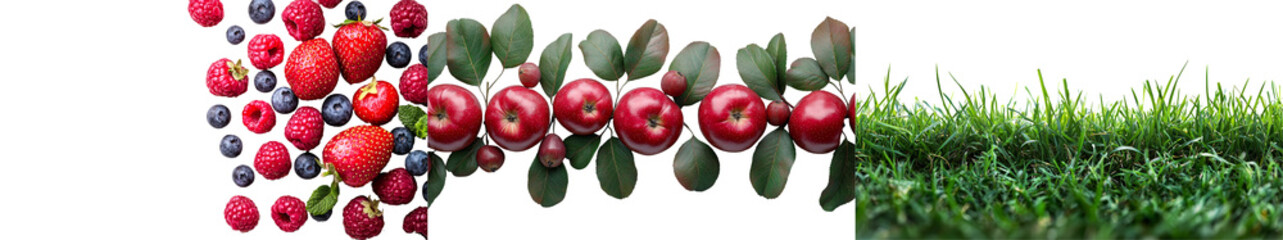 Vibrant Arrangement of Fresh Fruits and Lush Green Grass Background for Nature Themes