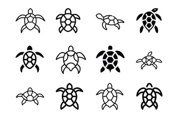 Set of turtle marine animal icon vector illustration on white background.