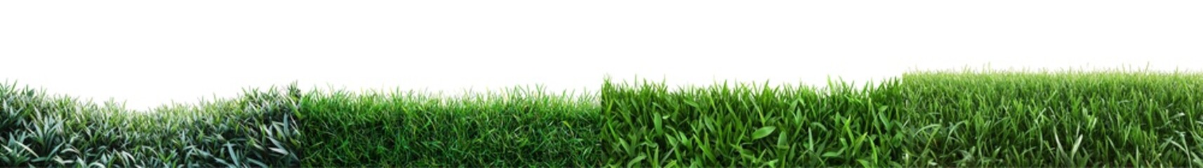 Obraz premium Lush Green Grass Landscape with Vibrant Texture and Natural Elements in Sunlight