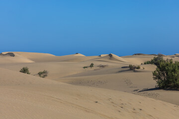 Desert landscape and sand dunes in Maspalomas. View of dunes and sea. Gran Canaria Island Spain