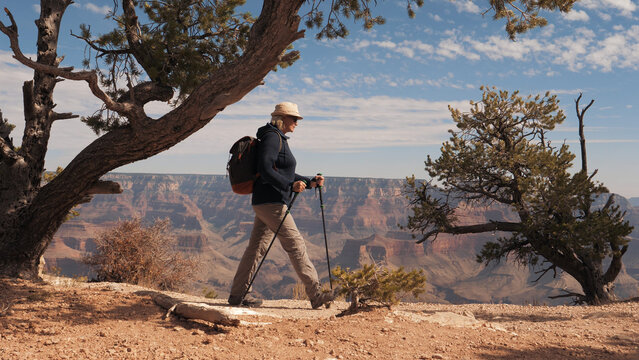 Active fat mature woman hiker with trekking poles and backpack. Trekking and adventure on fantastic footpath in Grand canyon mountains with red rocks buttes cliff background amazing view. Slow motion