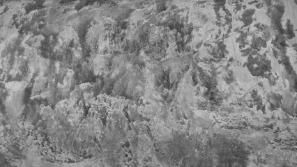 Textured Abstract Surface in Monochrome Featuring Natural Patterns and Organic Shapes