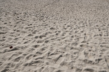 Fine White Sand Texture on a Beach with Subtle Ripples and Footprints in the Sunlight