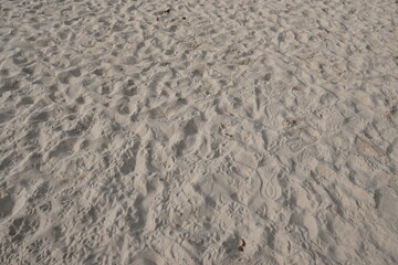 Detailed Textured Sand Surface with Footprints and Patterns on a Beach Landscape