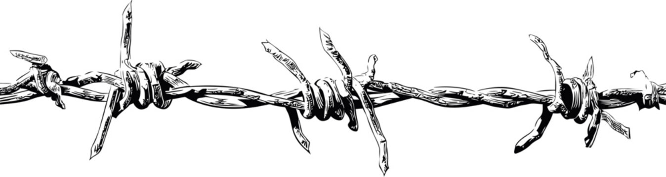 Black and white illustration of barbed wire as a symbol of restriction. Vector illustration