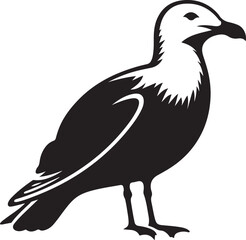 Obraz premium Gull Black Silhouette Vector, Seabird Clipart & Coastal Flying Bird Design