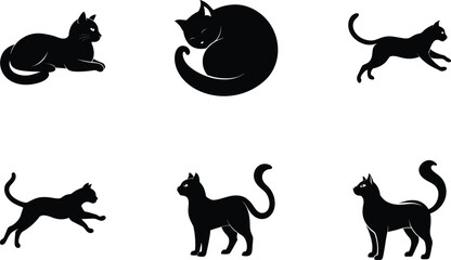 cat in different poses, silhouettes, and black figures vector 