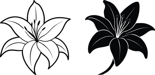 Fototapeta premium Elegant Lily Flower Illustration Isolated on White Background for Graphic Design Projects