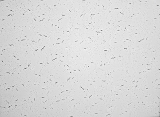 Light Wall Texture Background