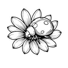 Obraz premium Ladybug crawling on summer daisy in line art style, nature beauty