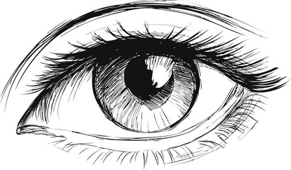 Obraz premium Sketch of a detailed eye with long eyelashes in black and white illustration. Vector illustration