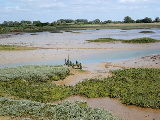 Mud flats in Pagham Harbour