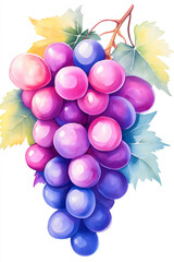 Bunch of grapes hanging from vine with colorful berries and green leaves