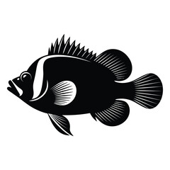 Mandarinfish Minimalist Silhouette, Vector, Illustration, Icon, Logo, White Background.