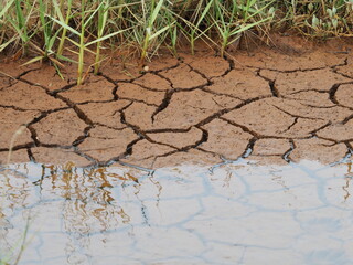 Cracked earth with salt water