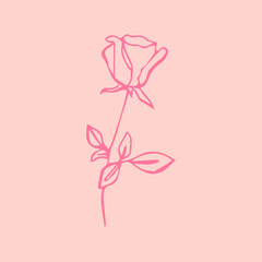 Rose flower minimalistic style hand drawn. Botanical illustration, symbol of love of a woman, summer, garden, bud, warmth, beauty, modern fashionable, color pink on a light background. For any design