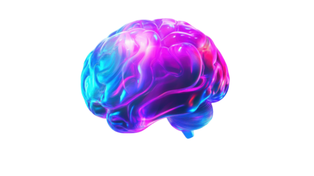 Colorful Iridescent 3D Human Brain Model Isolated on White Background