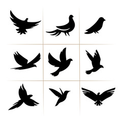 Obraz premium black and white bird group vector 3
