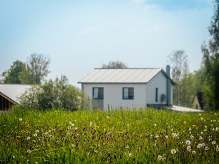  A vibrant green meadow with dandelion seed heads and yellow blooms stretches toward two modern homes, one under construction, set against a clear blue sky.
