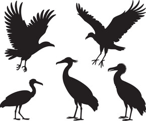 Naklejka premium Bird silhouettes collection flying birds wading birds