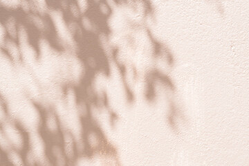 Studio background,Leaves shadow with sunbeam reflection on brwon concrete wall texture background,Empty beige Studio Room with abstract light on Cement floor,Backdrop display for product presentation.